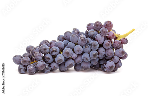 dark grapes isolated photo