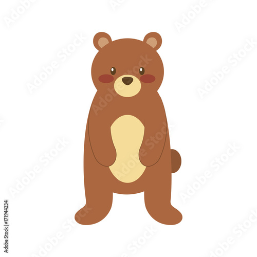 forest bear animal predator wild mammal vector illustration