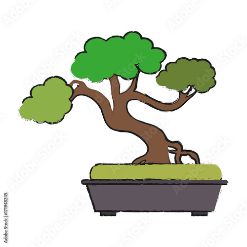 bonsai tree japan related icon image vector illustration design