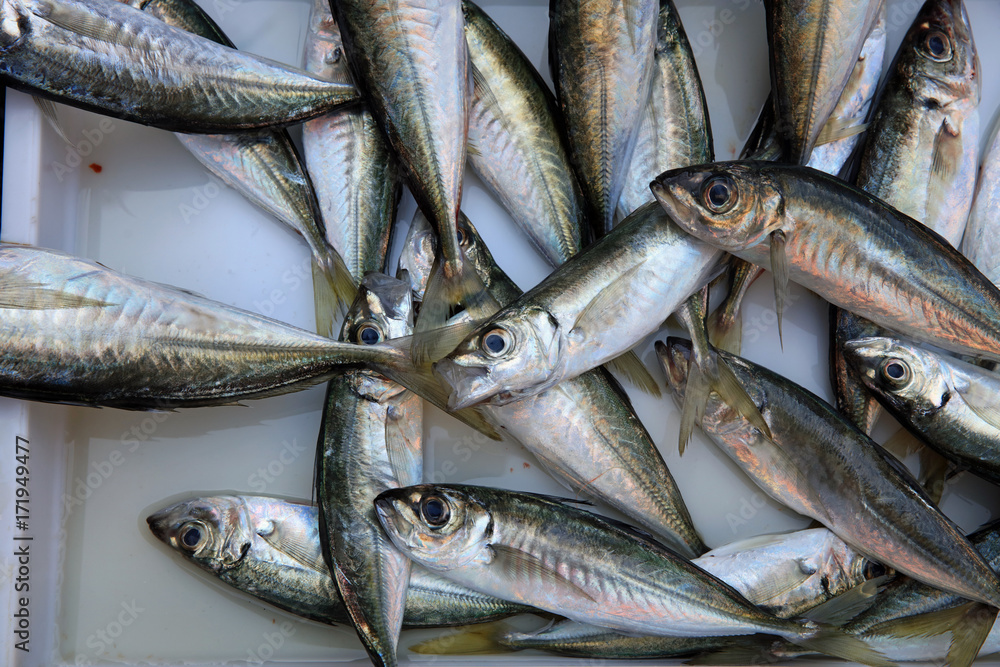 Obraz premium Fischmarkt in Catania. Sizilien. Italien 