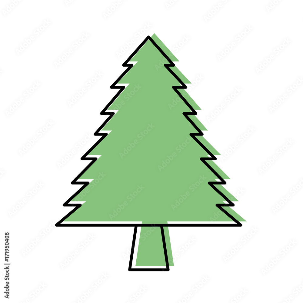 Obraz premium pine tree forest natural flora foliage vector illustration