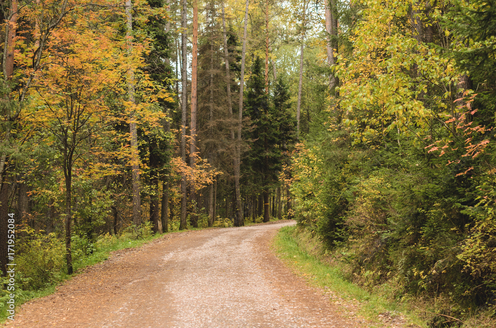 Naklejka premium Autumn landscape, yellow trees, mountains, road