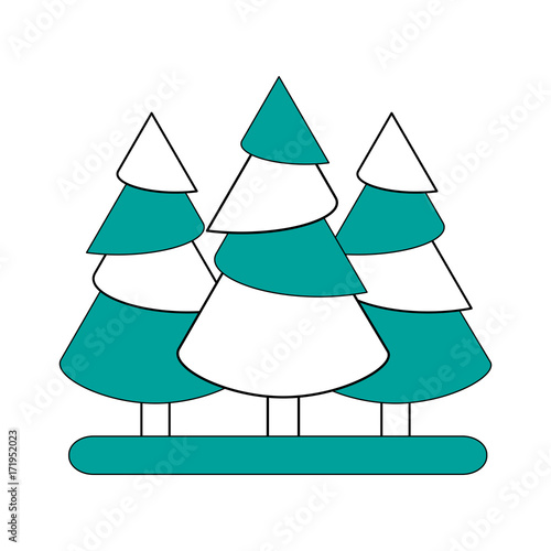 pine tree forest icon image vector illustration design