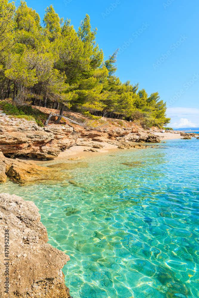 Naklejka premium Beautiful turquoise sea water on small beach on coast of Brac island near Bol town, Croatia