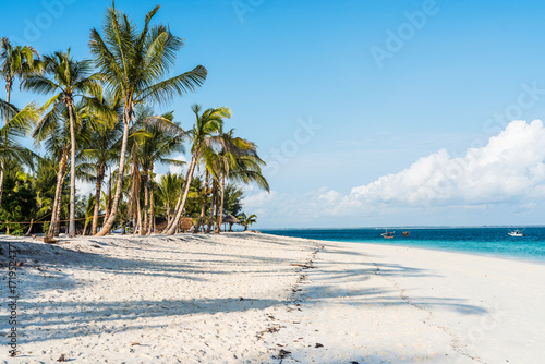 beautiful seascape with palms on a beach and blue sky
