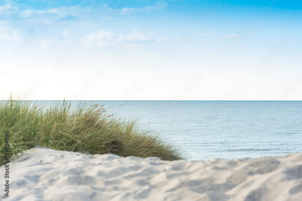 Beach grass and coastal dunes in the northeastern german region fish land located in the federal state Mecklenburg Vorpommern. A beautiful landscape in north Germany Beach grass and coastal dunes in the northeastern german region fish land located in the federal state Mecklenburg Vorpommern. A beautiful landscape in north Germany