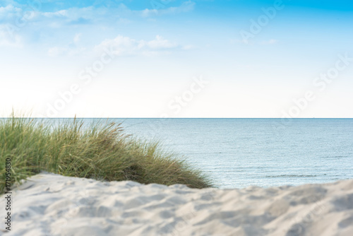 Beach grass and coastal dunes in the northeastern german region fish land located in the federal state Mecklenburg Vorpommern. A beautiful landscape in north Germany