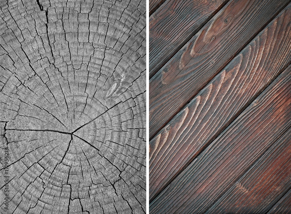 Fototapeta premium Wood texture