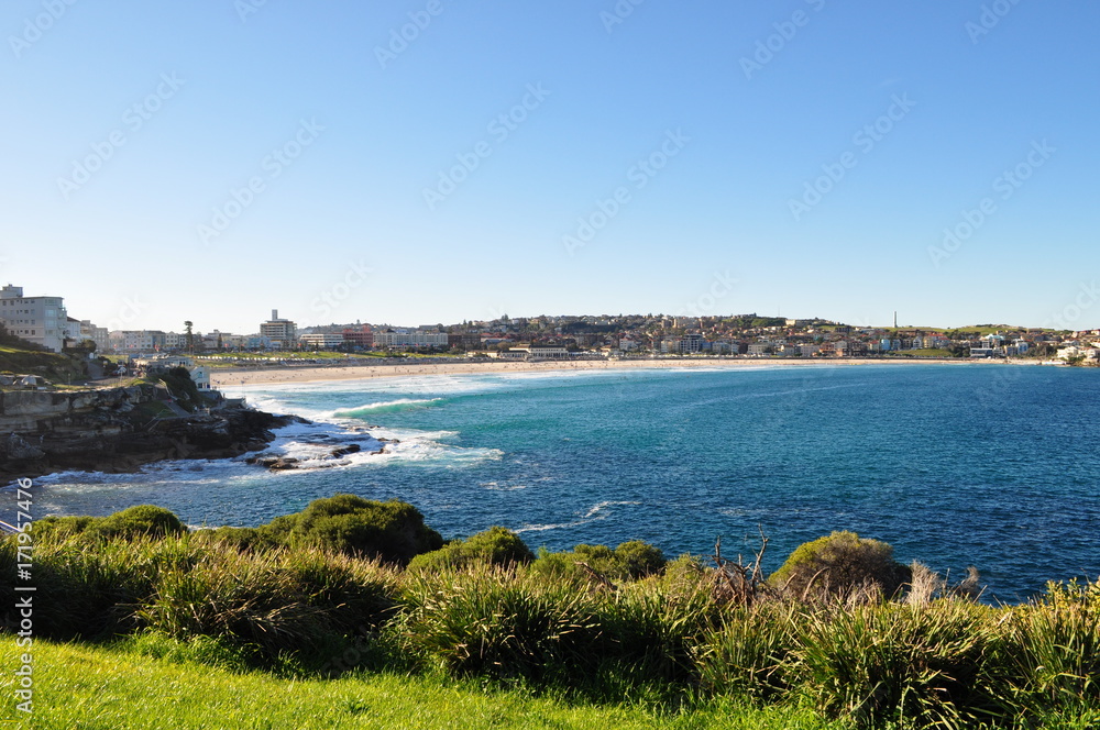 Bondi Bondi