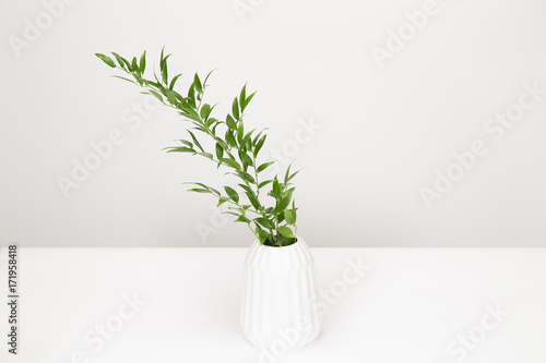 A green plant in a white vase
