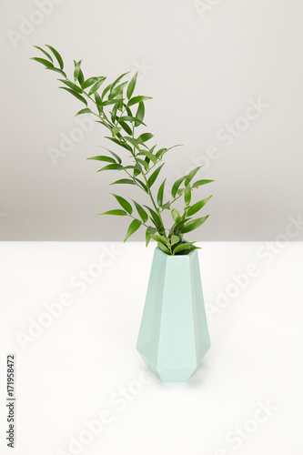 Turquoise vase with a green plant