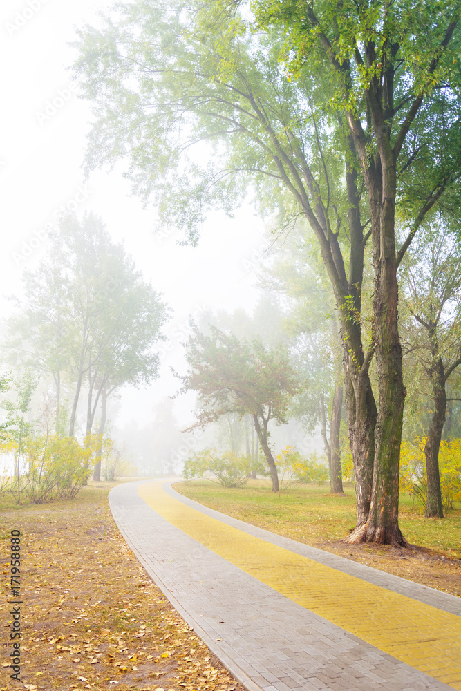 Park alley in the fog