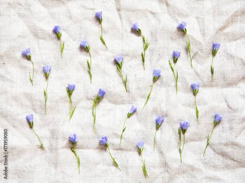 Flax flowers on natural linen cloth.