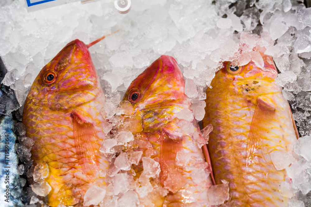 Red mullet fish on a an ice cubes Stock Photo | Adobe Stock