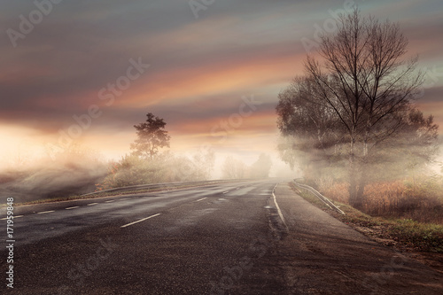 Idyllic and colorful view of the foggy autumn road