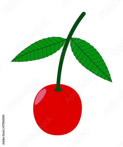 Fresh Cherry  - clip-art vector illustration