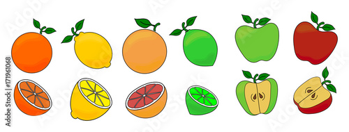 Set of vector illustrations of different fruits