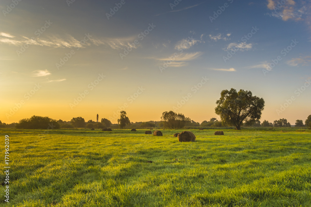 beautiful morning in the meadow, hay bales