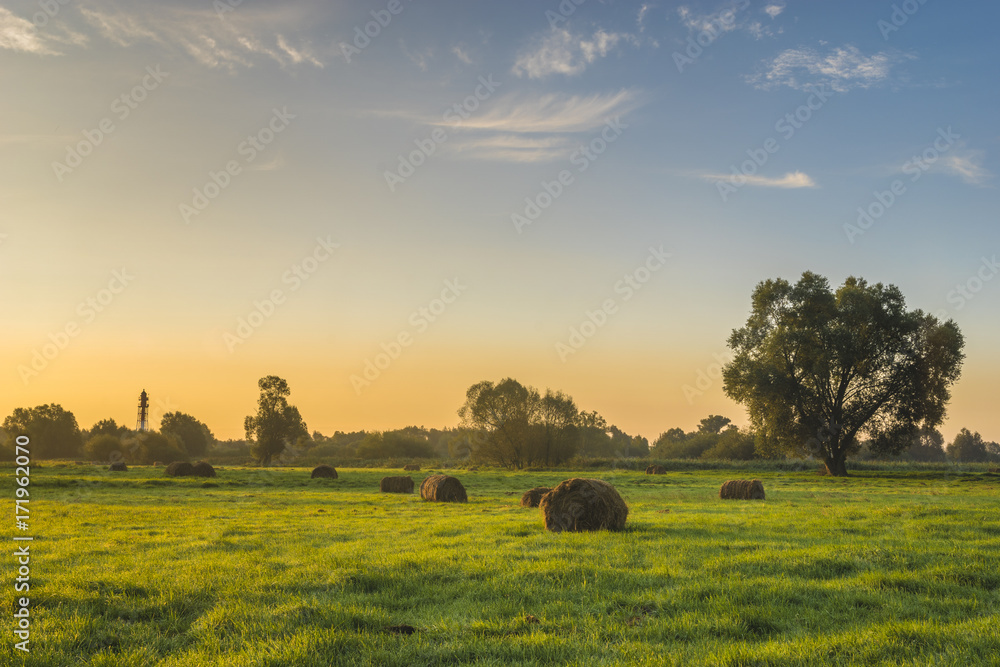 beautiful morning in the meadow, hay bales beautiful morning in the meadow, hay bales