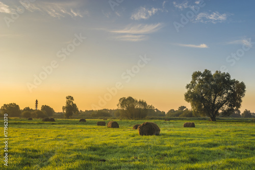beautiful morning in the meadow, hay bales