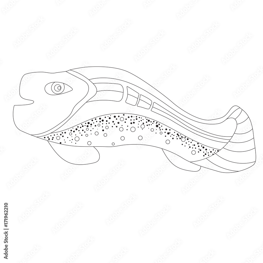 Fototapeta premium Hand drawn doodle fish, coloring page