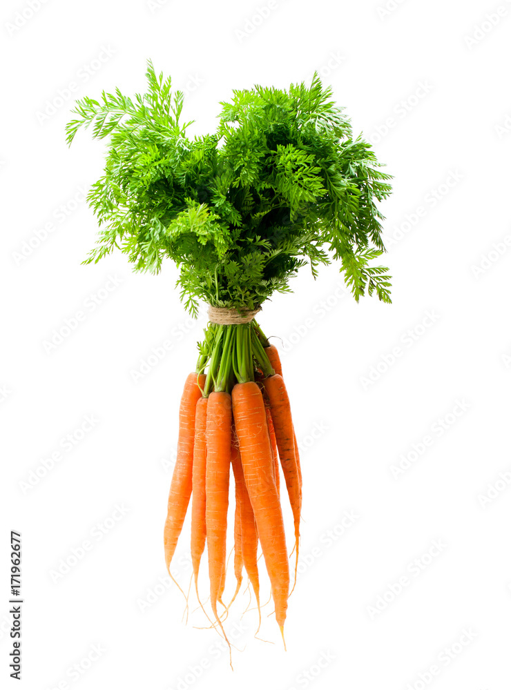 Bunch  of new carrots isolated on white - obrazy, fototapety, plakaty 
