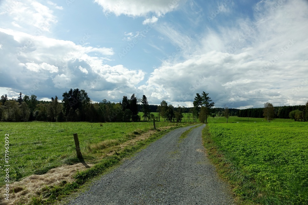 Fototapeta premium wandern in elterlein