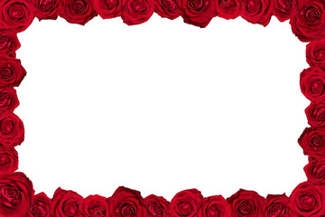 Frame made of red roses. Isolated on white.