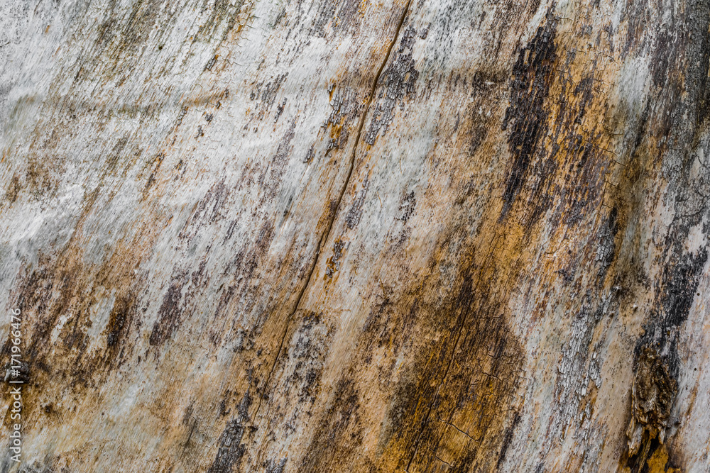 The old wood texture with natural patterns and cracks on the surface as background The old wood texture with natural patterns and cracks on the surface as background
