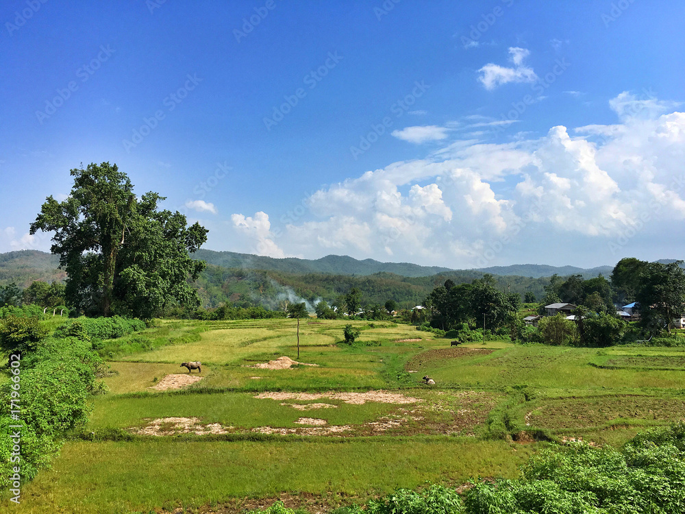 Landscape of Myanmar Landscape of Myanmar
