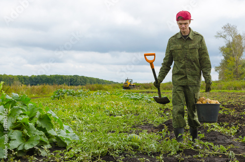 young farmer carries a bucket of potatoes