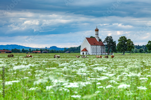 famous St. Coloman church in beautiful morning with flower field in summer, Bavaria, Germany photo