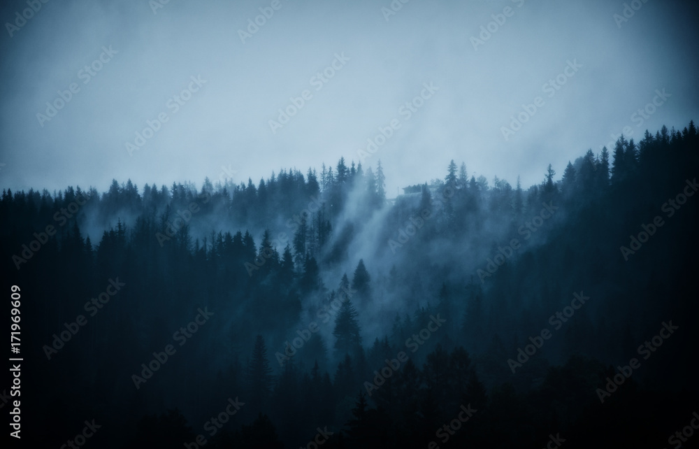 Φωτογραφία Mystic foggy mountains and woods in the evening (in dark blue tones)