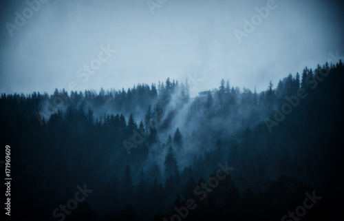 Mystic foggy mountains and woods in the evening (in dark blue tones)