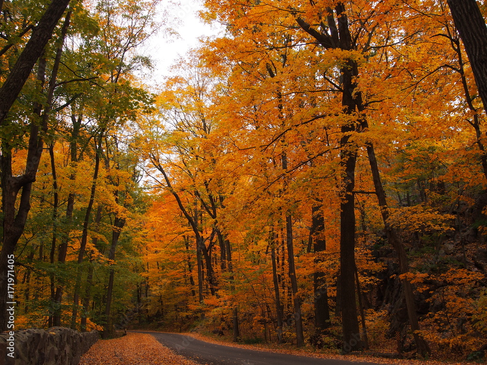 Fototapeta premium ウィスコンシン州デビルズレイクの秋