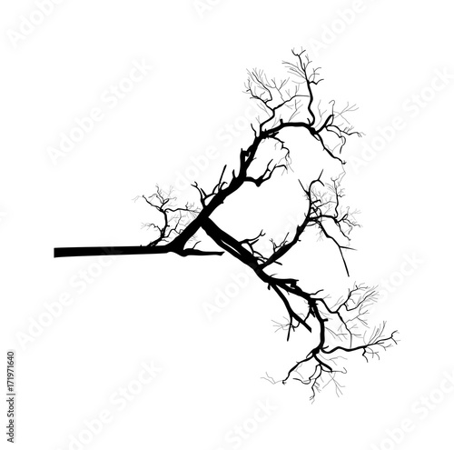 Dead Tree Branch Vector Silhouette