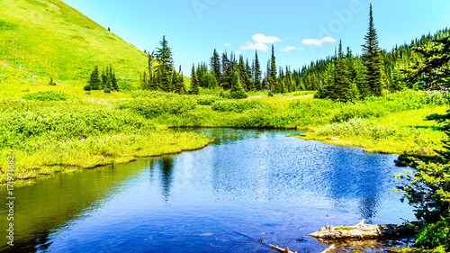 Small lake in the high alpine near the village of Sun Peaks in the Shuswap Highlands in central British Columbia Canada