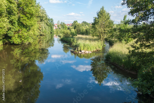 Fluss mit Gänsen