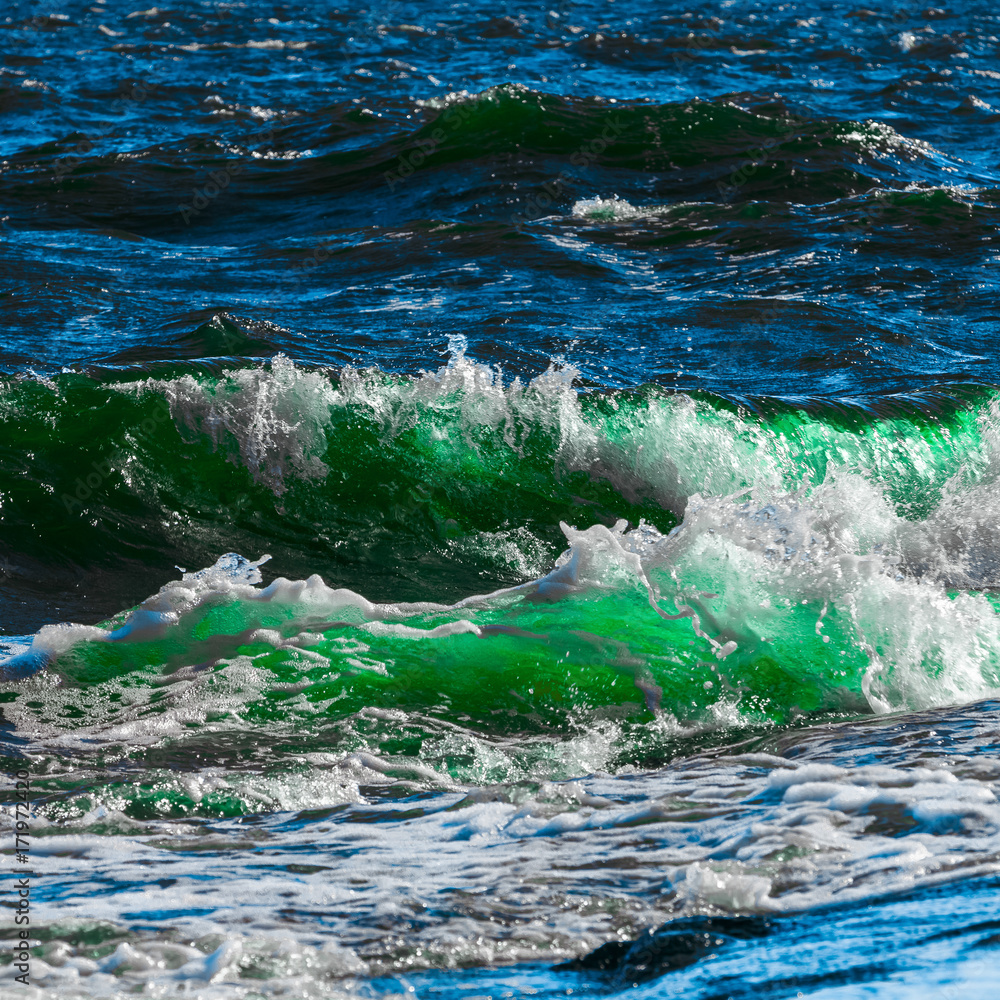 Fototapeta premium Summer ocean waves