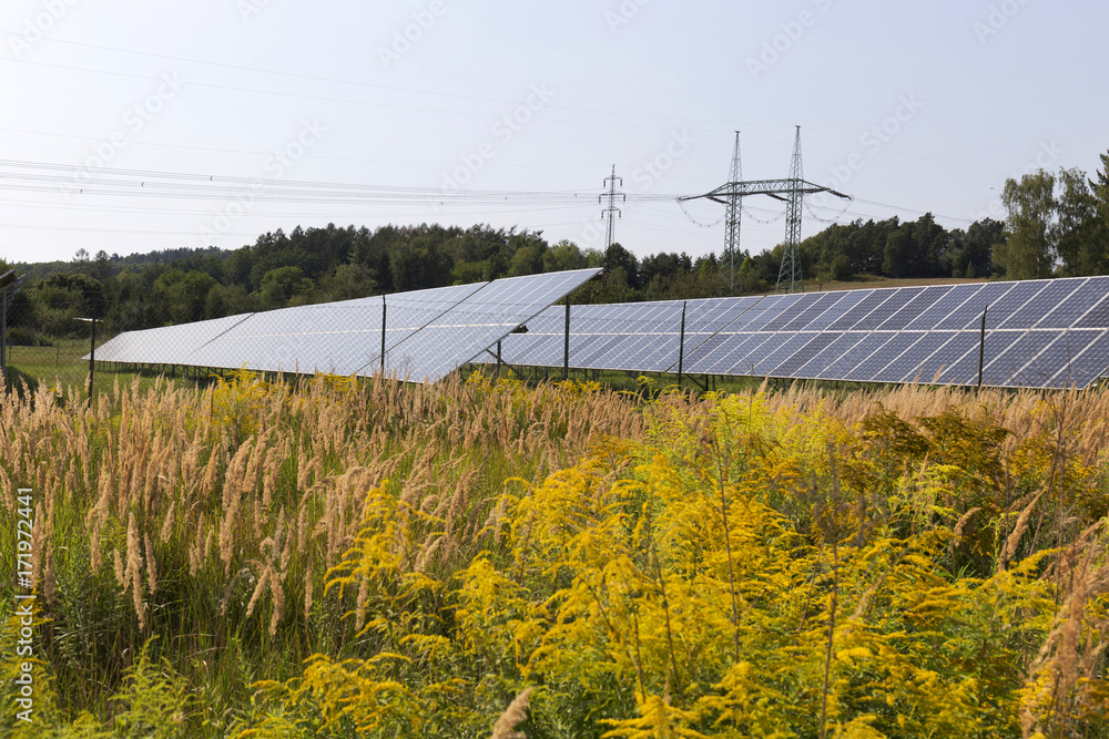 Fototapeta premium Solar Power Station on the summer Meadow 