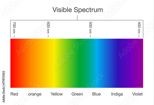 Chart of Visible spectrum color. Illustration about Human vision and light.