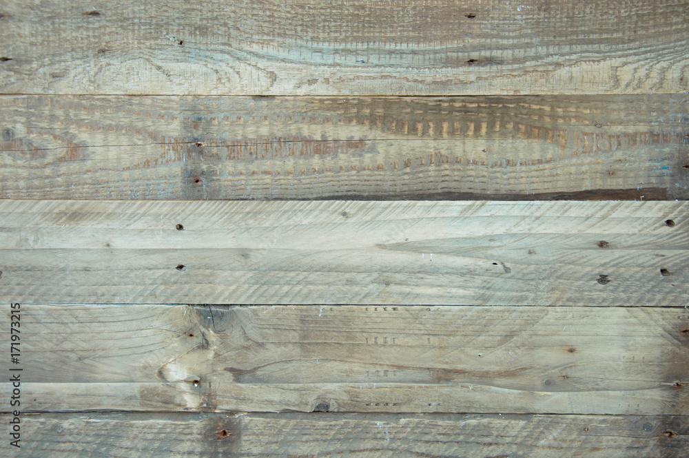 Obraz premium Natural wood panel background