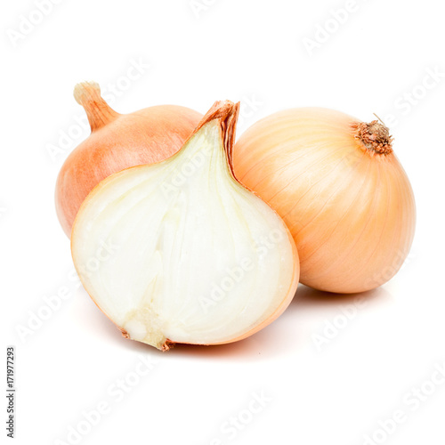 onion bulbs isolated on white background © photo-nuke