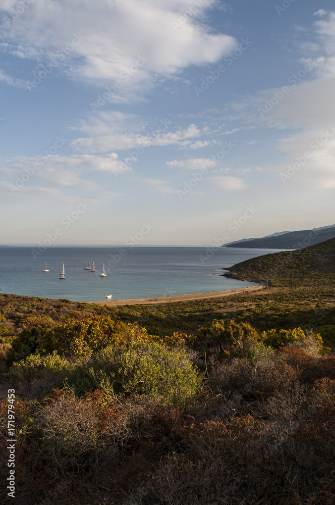 Corsica, 28/08/2017: macchia mediterranea sul Sentier des Douaniers, sentiero costiero del Capo Corso, con vista sulla riserva naturale delle isole Finocchiarola, Terra e Mezzana