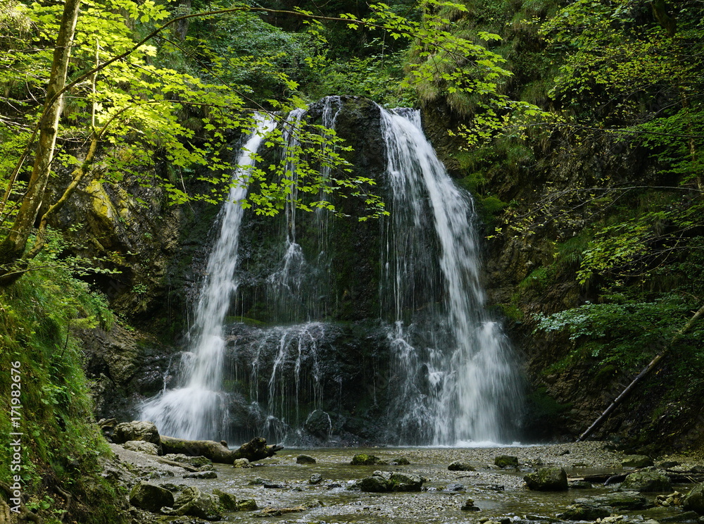 waterfall in a wood waterfall in a wood