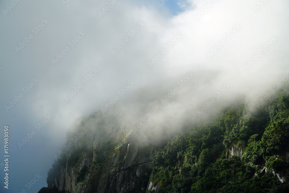 Seychelles Mountaintop in the fog