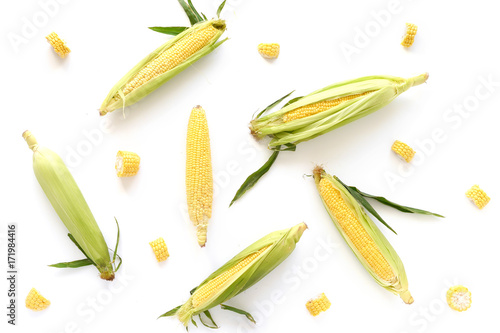 Pattern of cobs of corn on white background. Food background. Corn in the cob.