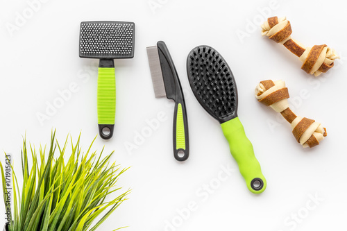 grooming tools for training pet and brushes on white background top view