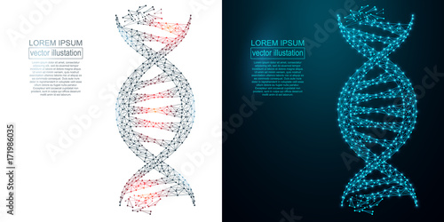 Polygonal DNA abstract image. Low poly wireframe