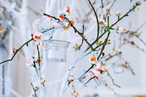 wedding decor, white and green tree branch with blossoming buds, flowering tree branches with white flowers and a garland of candlesticks, branch with blossoms, decorated background, horizontal photo